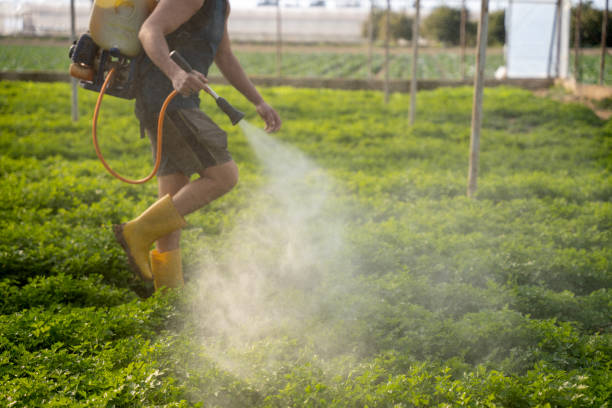 Trusted Kendallville, IN Pest Control Experts