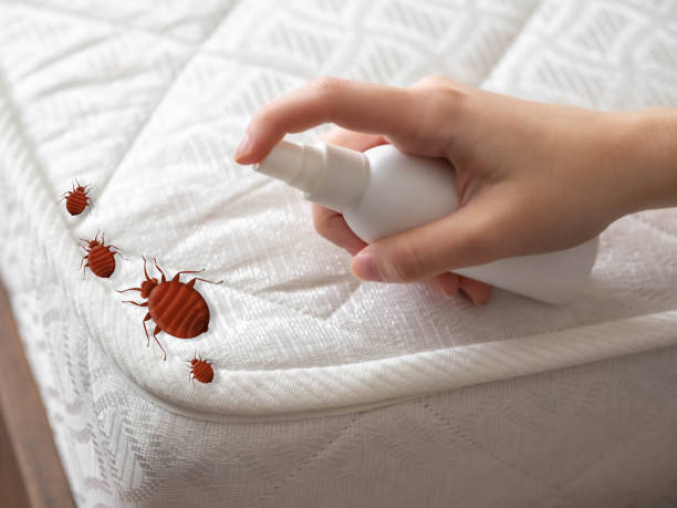 Best Exterminator Services  in Kendallville, IN